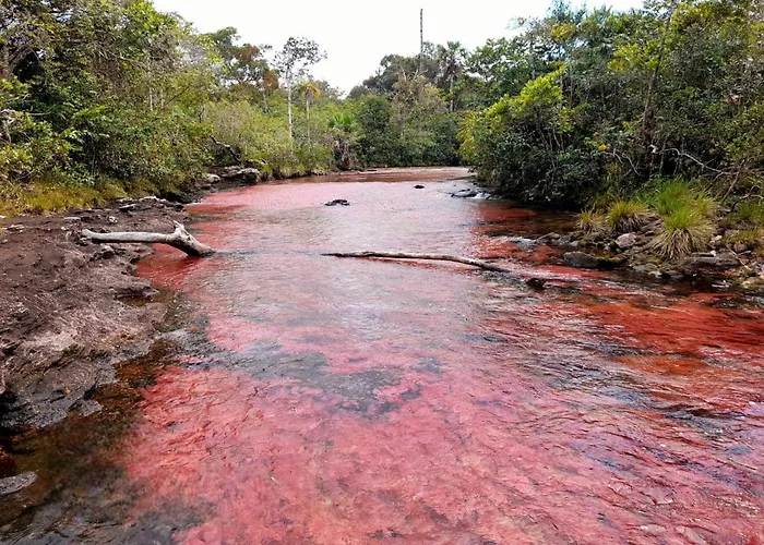 Hotel Ecologico Makalombia