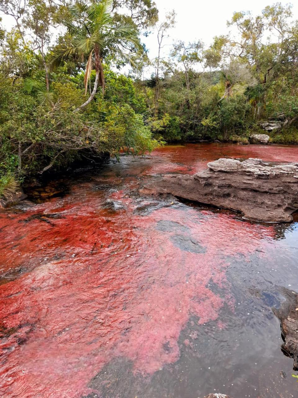 Ecologico Makalombia * La Macarena