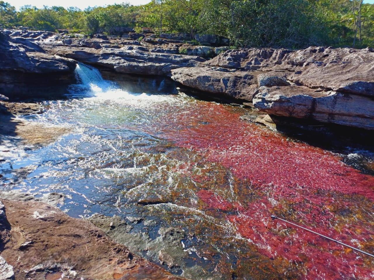 Ecologico Makalombia