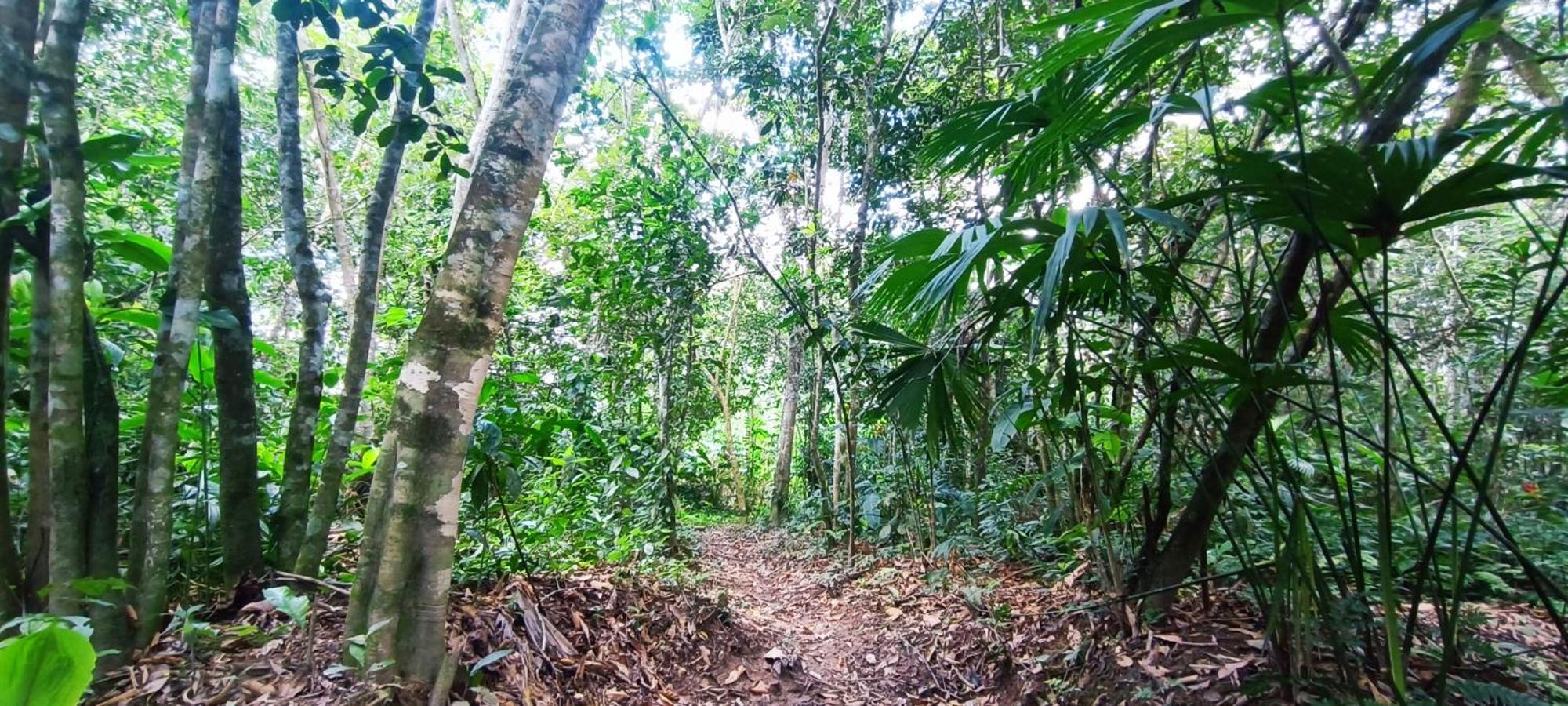 Ecologico Makalombia La Macarena