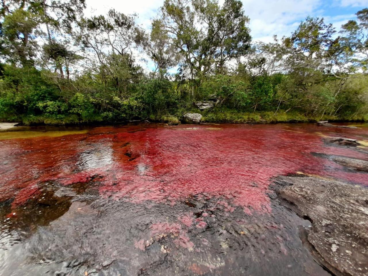 Ecologico Makalombia
