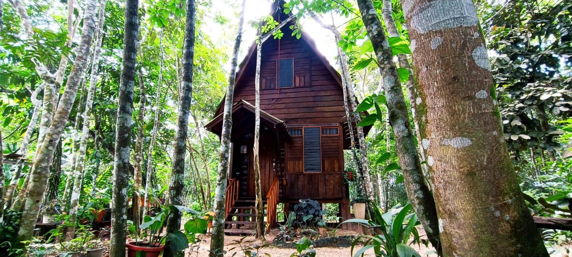 Ecologico Makalombia *